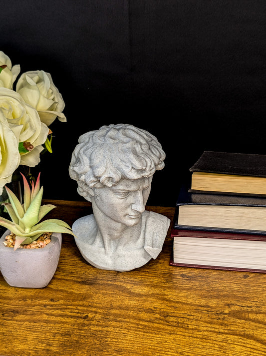 Michelangelo’s David Bust - Marble Finish Statue