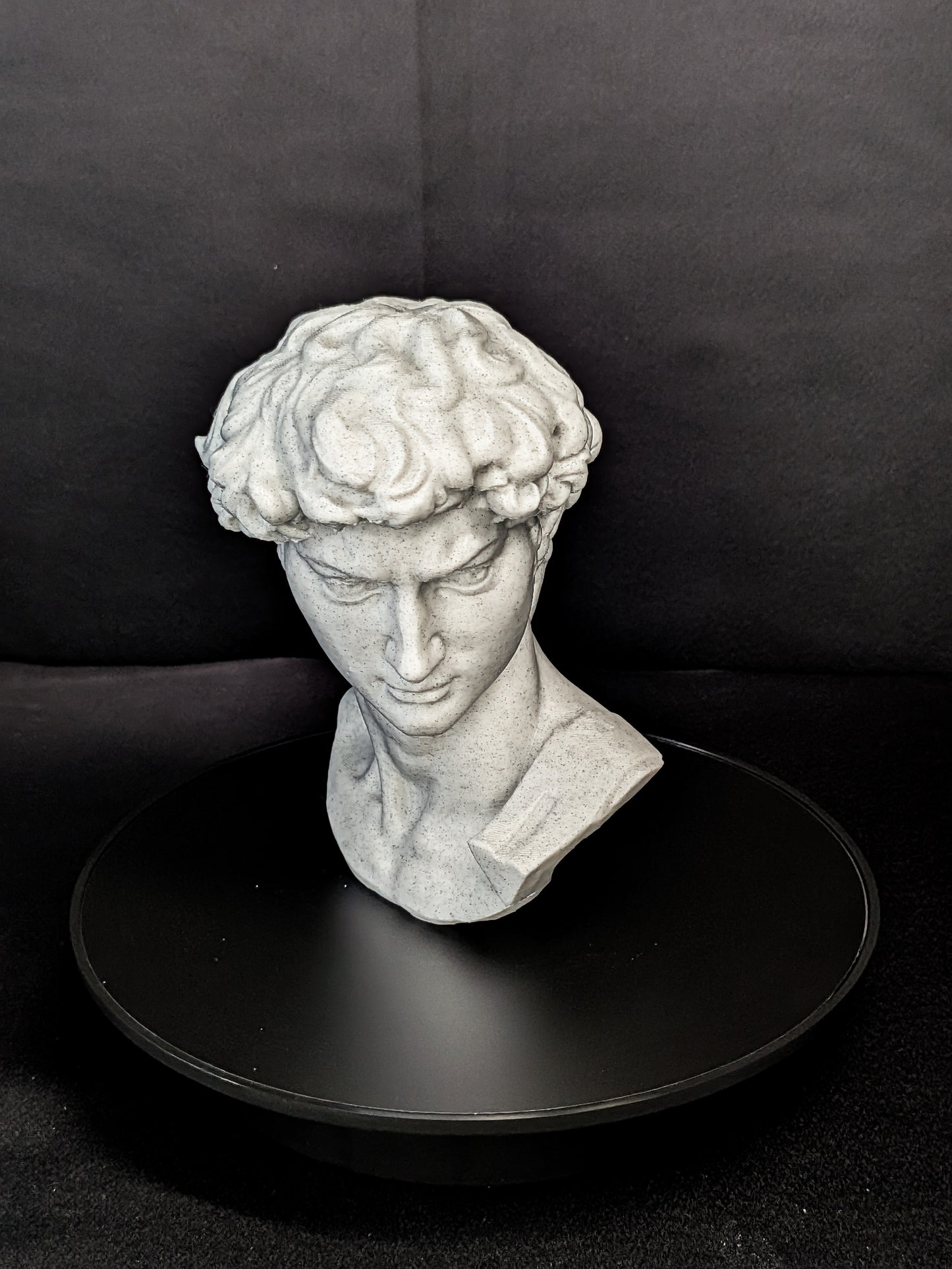 Michelangelo’s David Bust - Marble Finish Statue