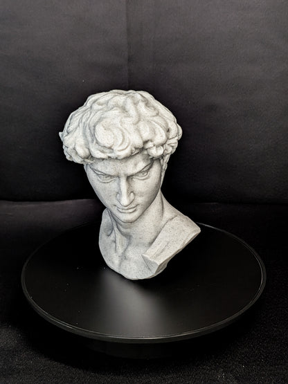 Michelangelo’s David Bust - Marble Finish Statue