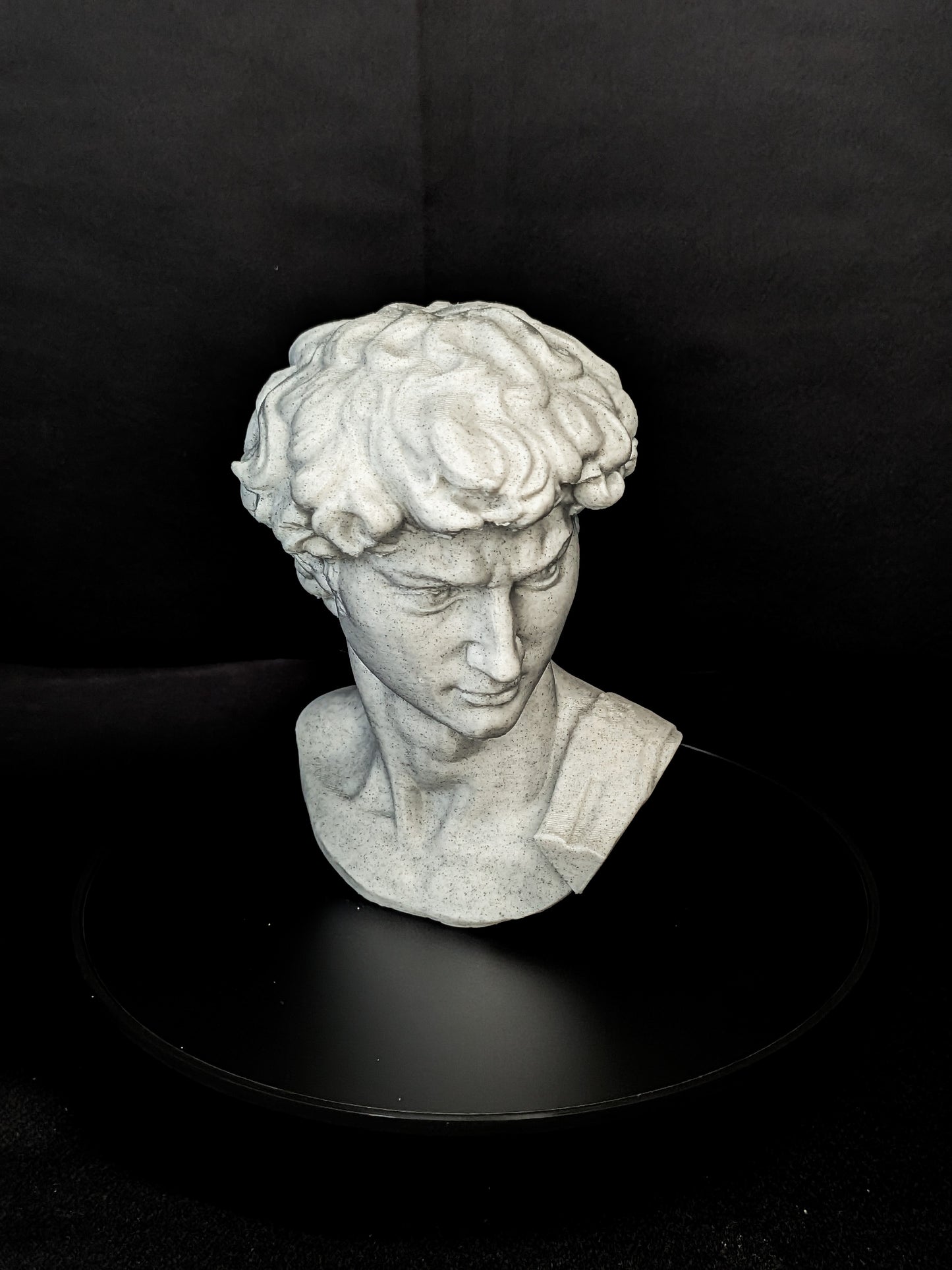 Michelangelo’s David Bust - Marble Finish Statue