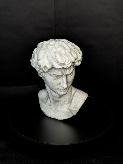 Michelangelo’s David Bust - Marble Finish Statue