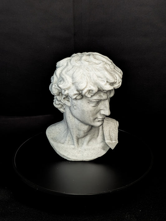 Michelangelo’s David Bust - Marble Finish Statue