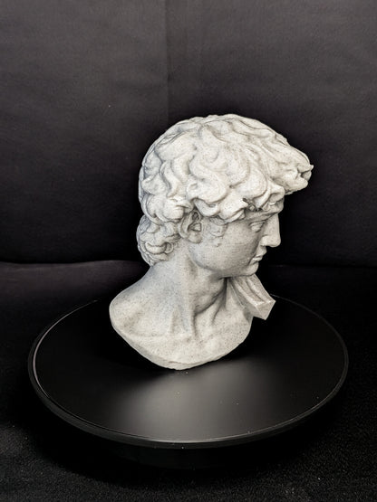 Michelangelo’s David Bust - Marble Finish Statue