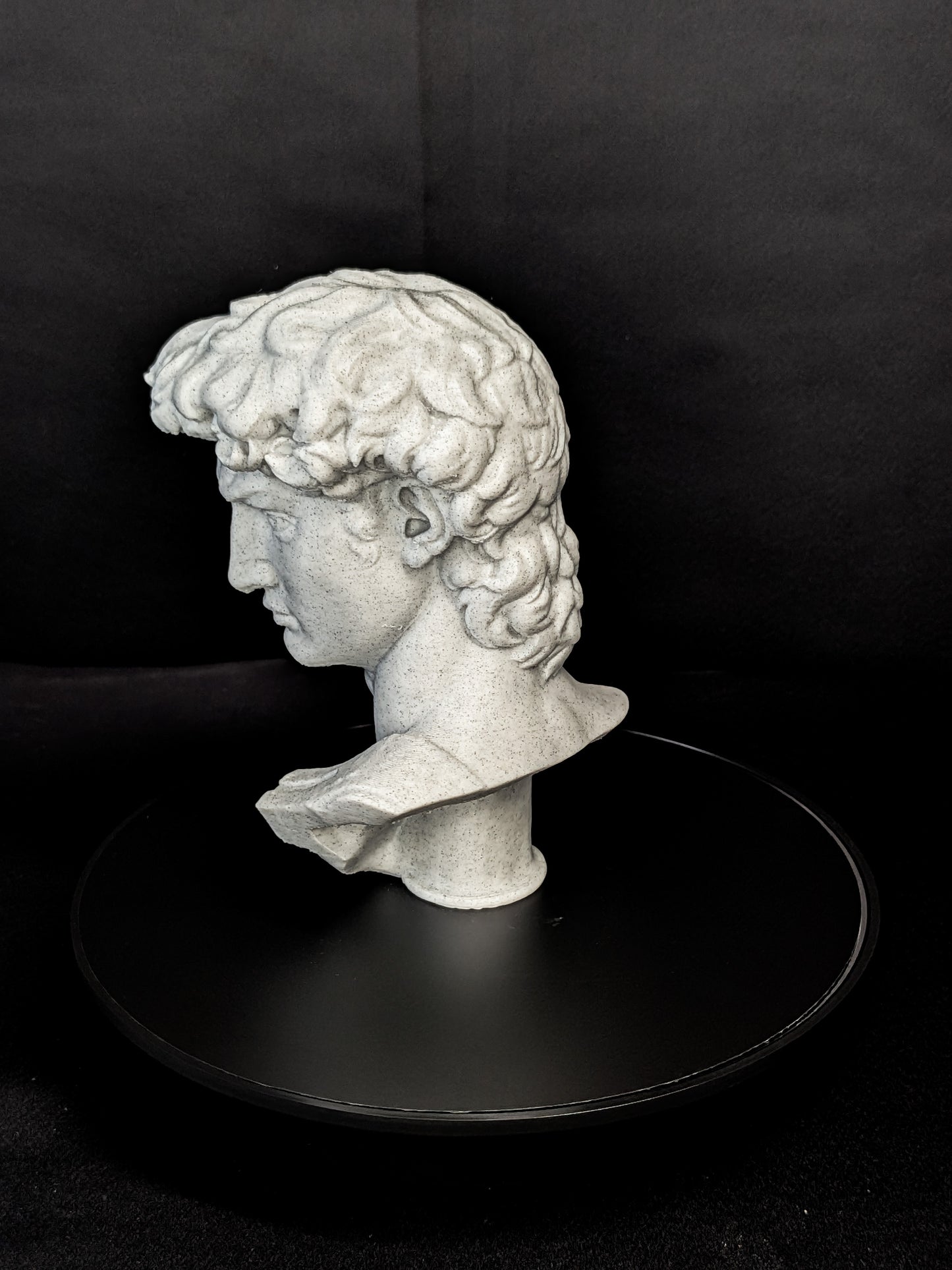 Michelangelo’s David Bust - Marble Finish Statue