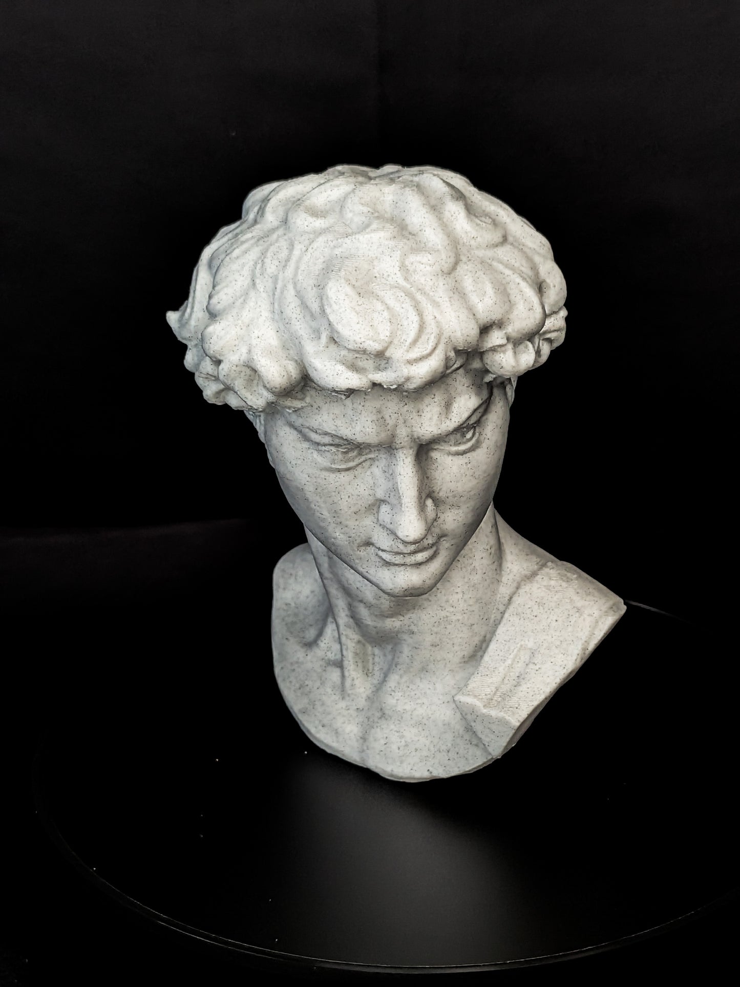 Michelangelo’s David Bust - Marble Finish Statue