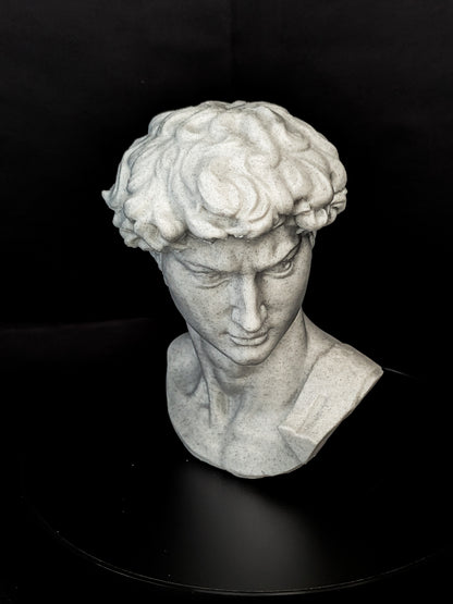 Michelangelo’s David Bust - Marble Finish Statue