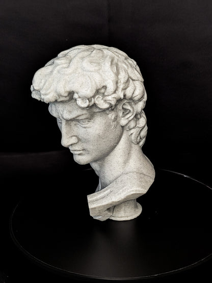 Michelangelo’s David Bust - Marble Finish Statue