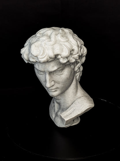 Michelangelo’s David Bust - Marble Finish Statue
