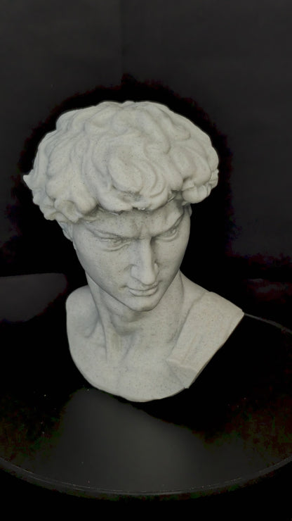 Michelangelo’s David Bust - Marble Finish Statue